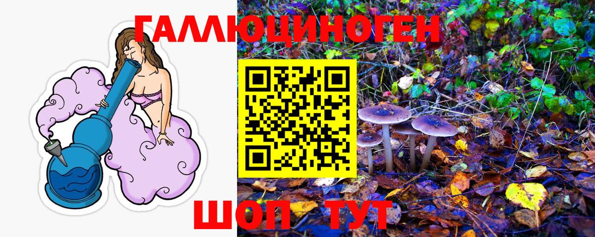 Карпинск  Галлюциногенные грибы ЛСД  Вход с VPN  Псилоцибиновые грибы Psilocybine cubensis 