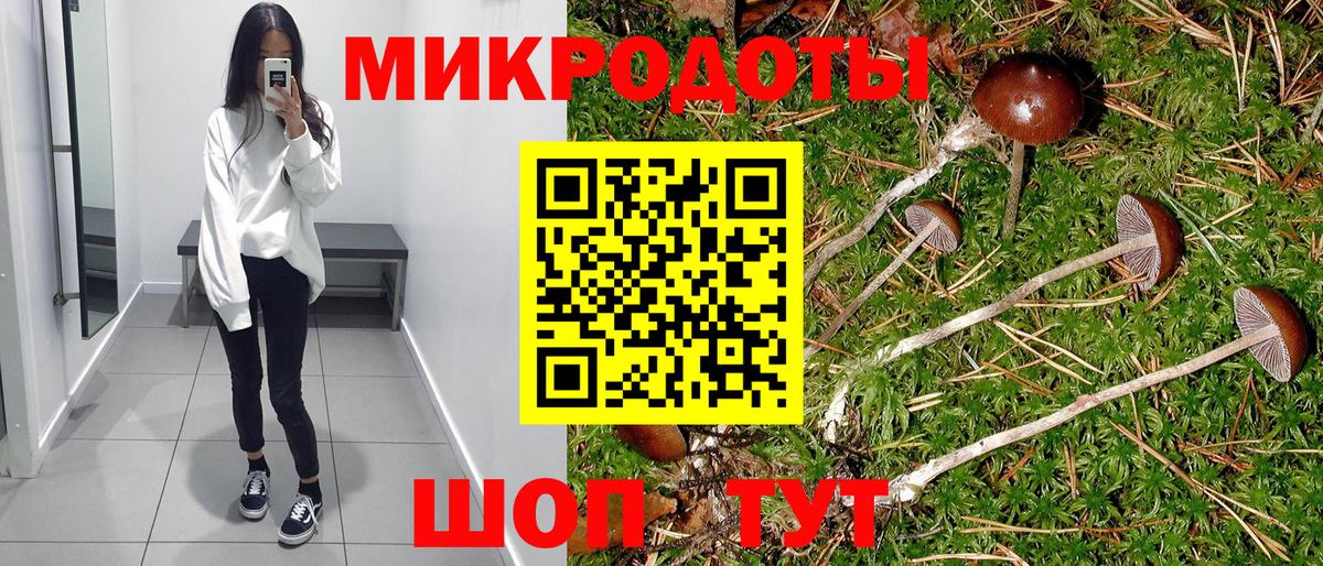 Галлюциногенные грибы мухоморы Карпинск